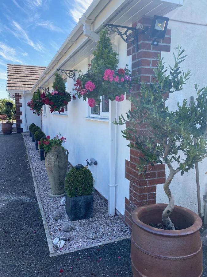 Toppesfield House B&B Bude Bagian luar foto
