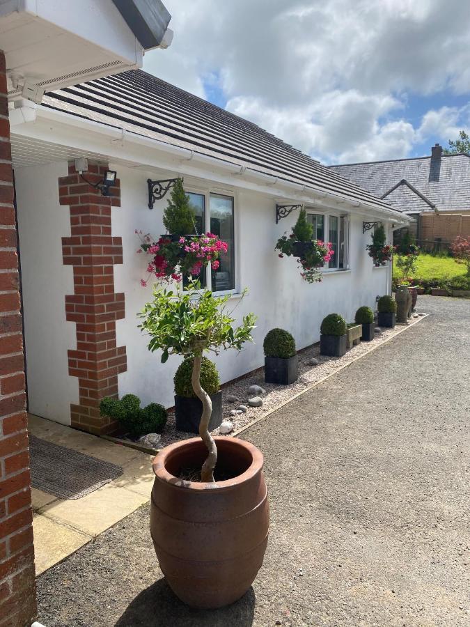 Toppesfield House B&B Bude Bagian luar foto