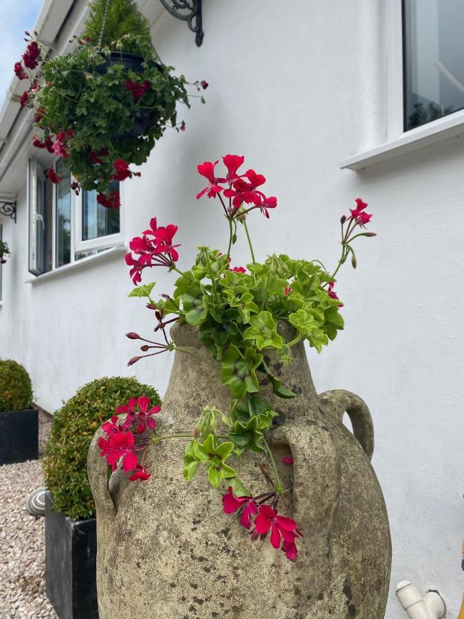 Toppesfield House B&B Bude Bagian luar foto