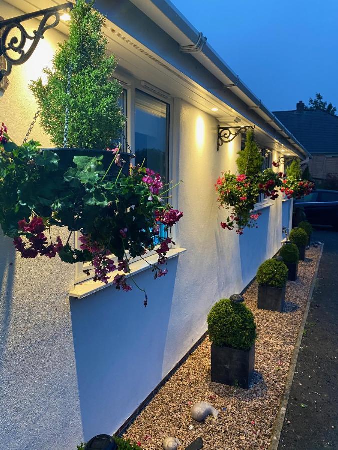 Toppesfield House B&B Bude Bagian luar foto