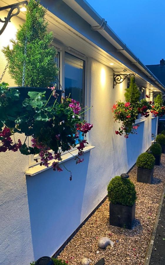 Toppesfield House B&B Bude Bagian luar foto