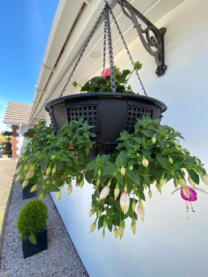 Toppesfield House B&B Bude Bagian luar foto