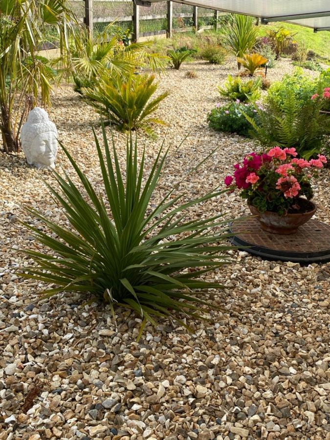 Toppesfield House B&B Bude Bagian luar foto