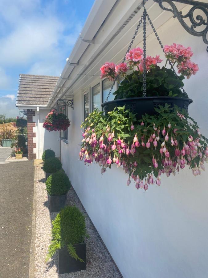 Toppesfield House B&B Bude Bagian luar foto