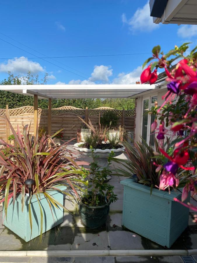 Toppesfield House B&B Bude Bagian luar foto