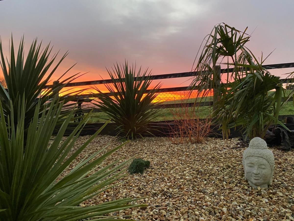 Toppesfield House B&B Bude Bagian luar foto