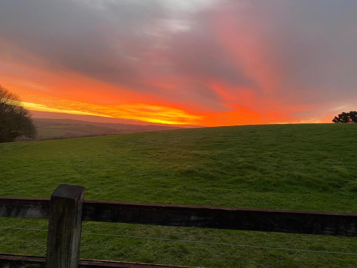 Toppesfield House B&B Bude Bagian luar foto